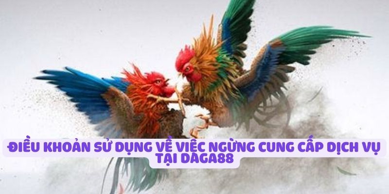 dieu-khoan-su-dung-ve-viec-ngung-cung-cap-dich-vu-tai-daga88